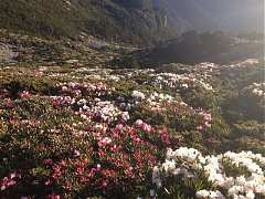 546734_413852185315731_100..